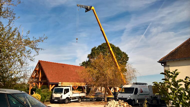 Appentis et abris bois