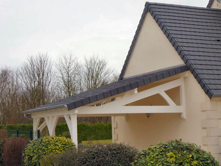 Appentis et abris bois