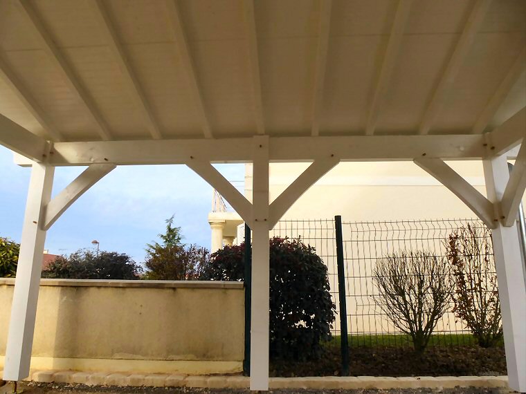 Appentis et abris bois