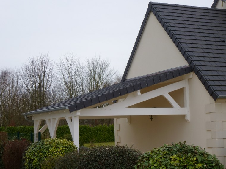 Appentis et abris bois