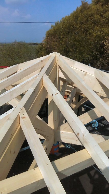 Appentis et abris bois