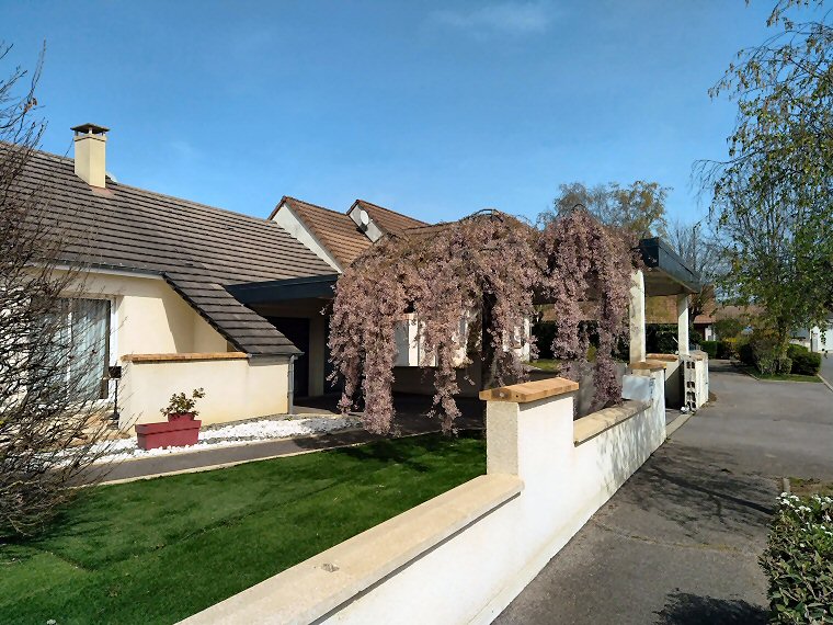 Appentis et abris bois