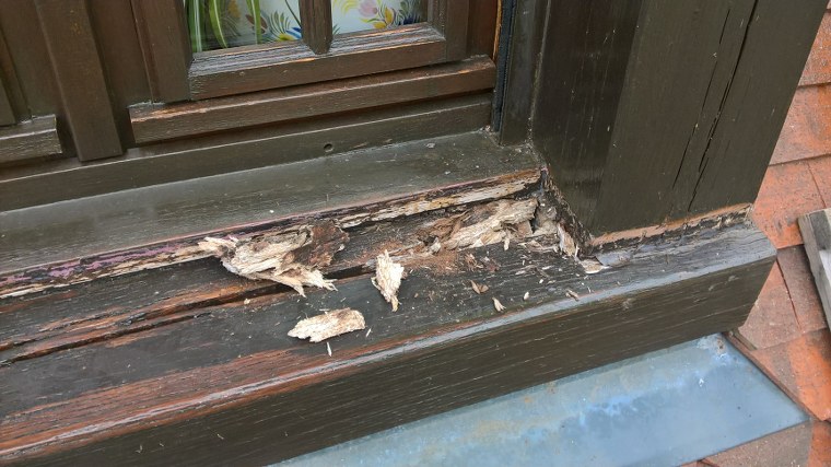 Restauration de charpente